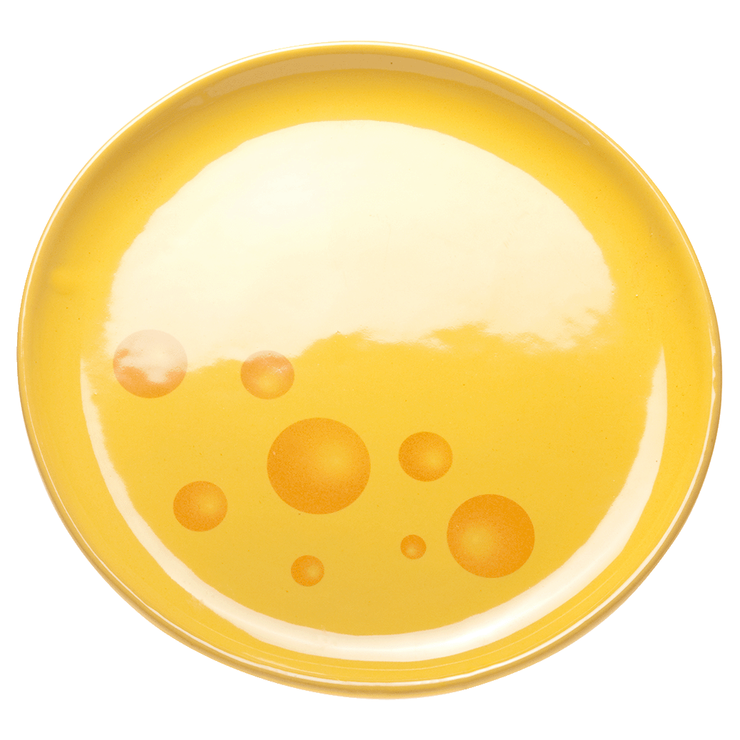 Käsefondue-Teller «Formaggio»